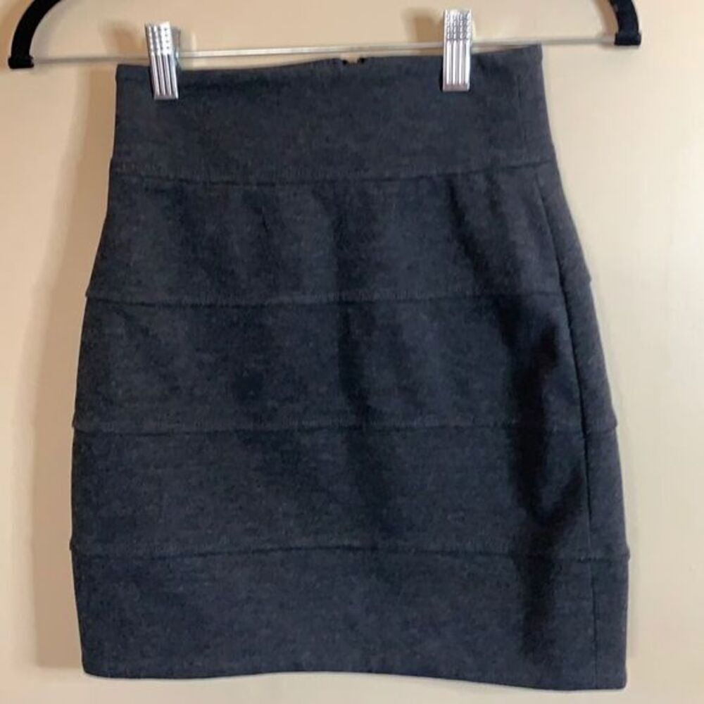 Talula Aritzia Grey Zip-Up Skirt